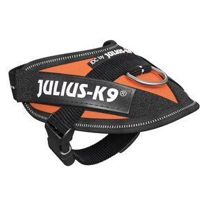 Julius-K9 Orange Dog Harness